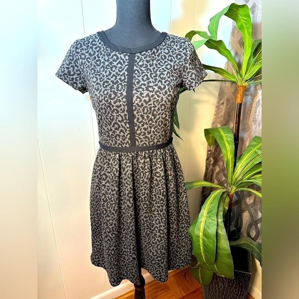 Loft Women’s Gray Leopard Print Dress Size 0 - Picture 2 of 10
